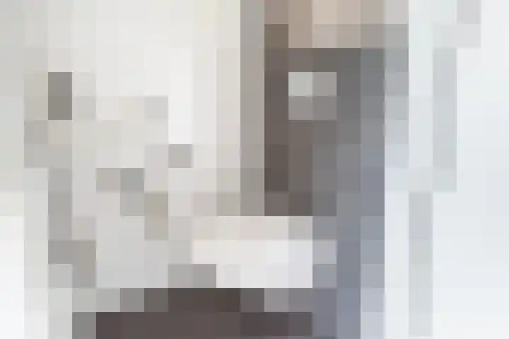 Gietijzerlaan 13 Ulft thumbnail 7