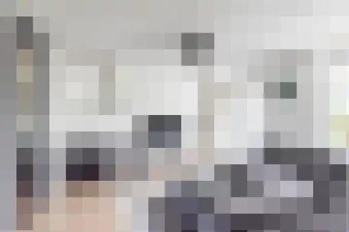 Gietijzerlaan 13 Ulft thumbnail 8
