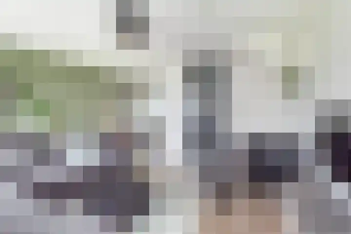 Gietijzerlaan 13 Ulft thumbnail 9