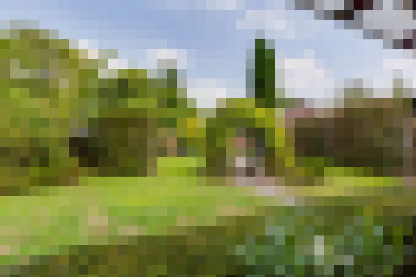 Giezenveld 7 Varsseveld thumbnail 44