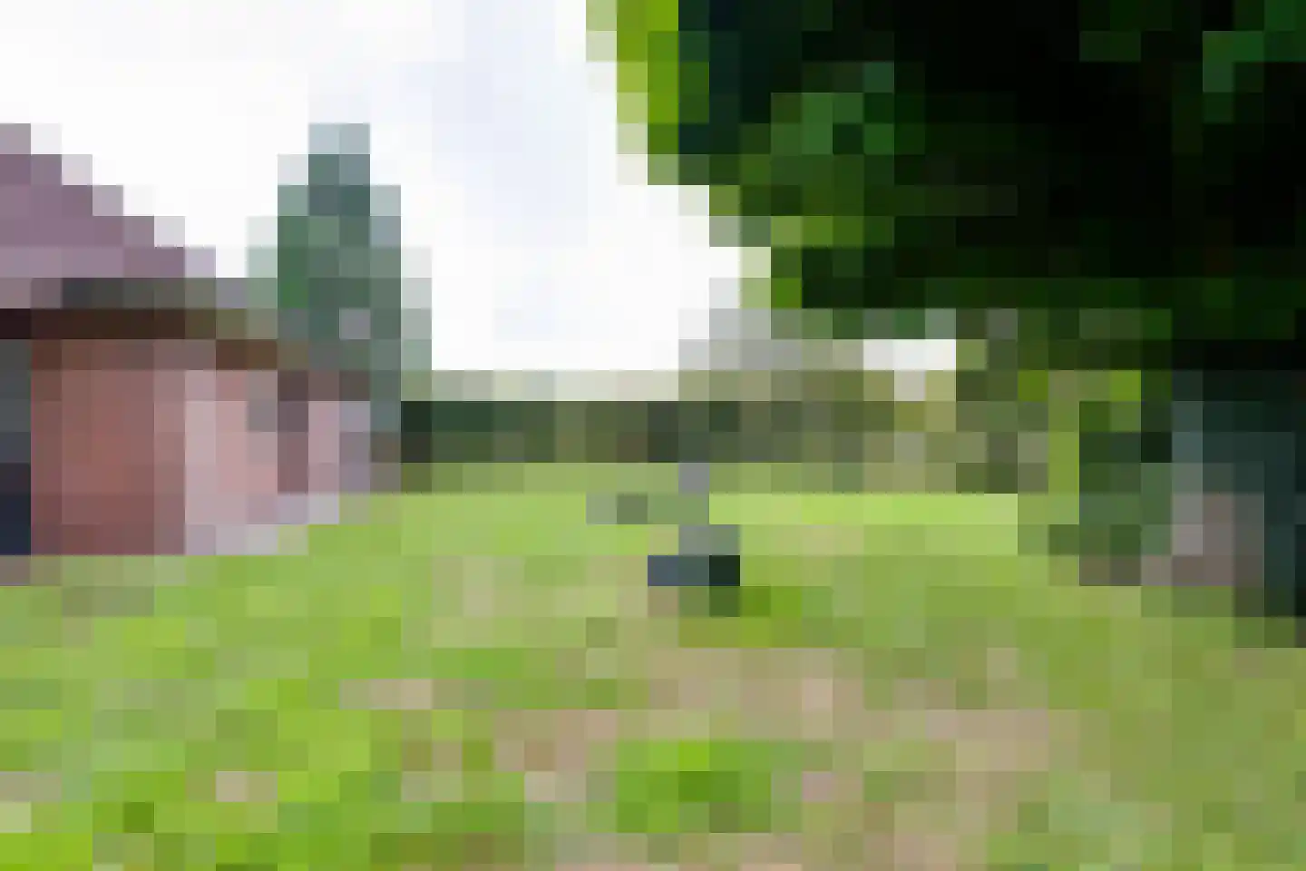 Giezenveld 7 Varsseveld thumbnail 48