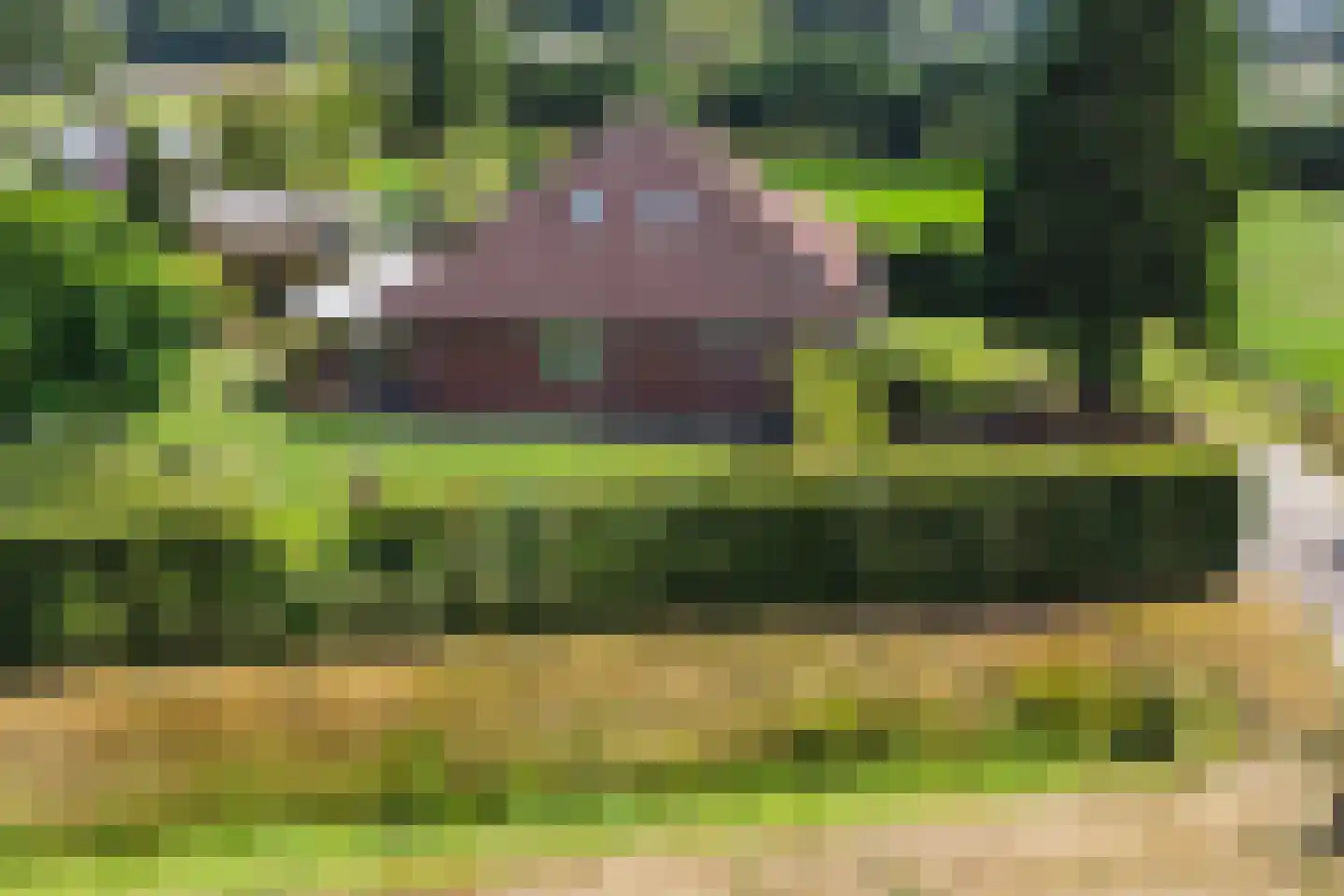 Giezenveld 7 Varsseveld thumbnail 49