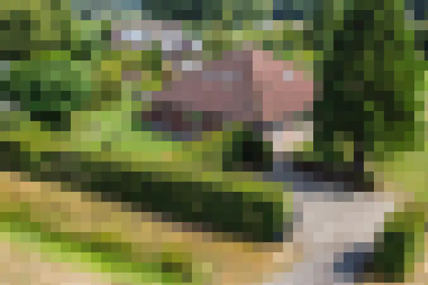 Giezenveld 7 Varsseveld thumbnail 8