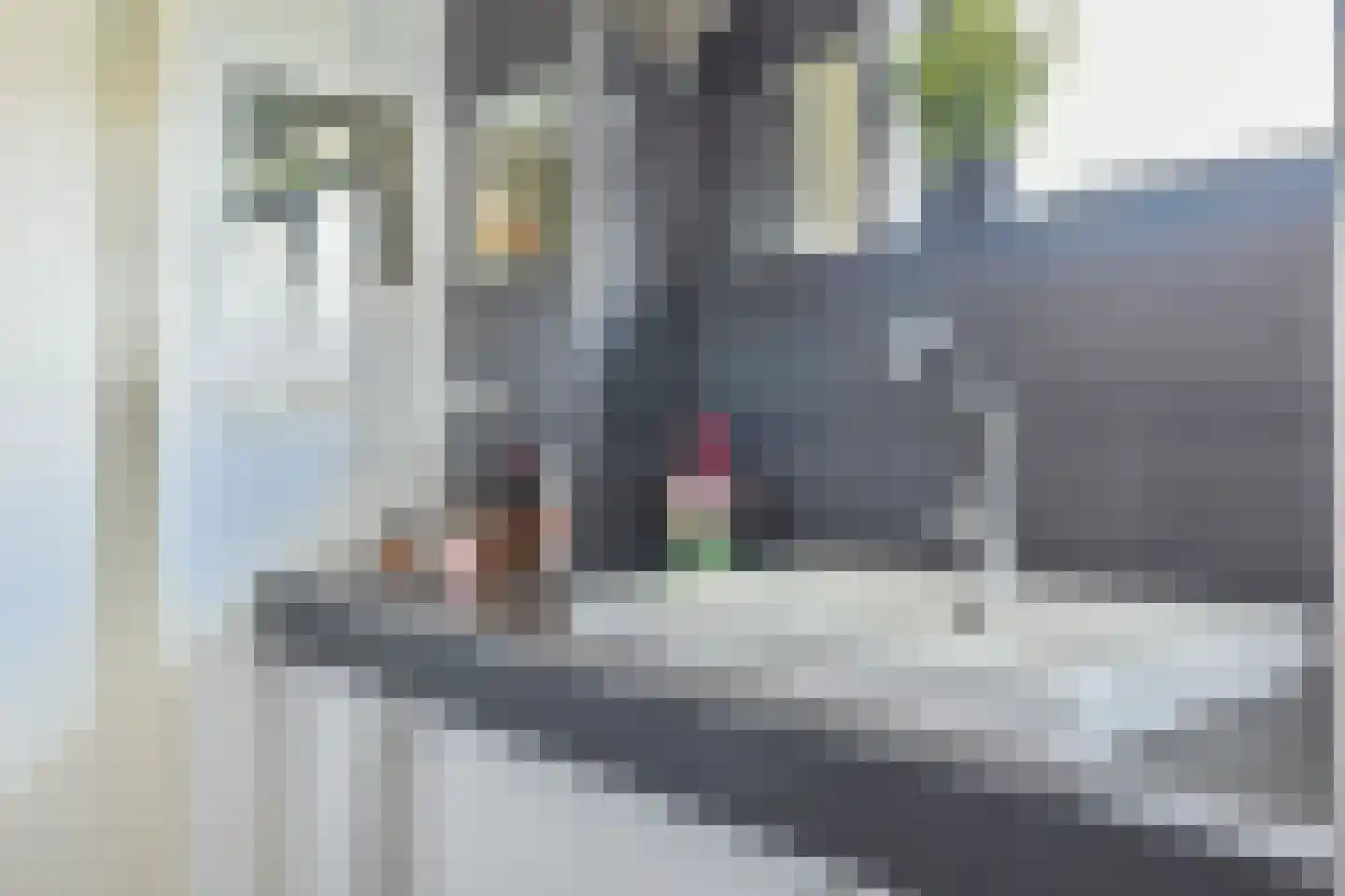 Gigantenstraat 8 Almere thumbnail 24