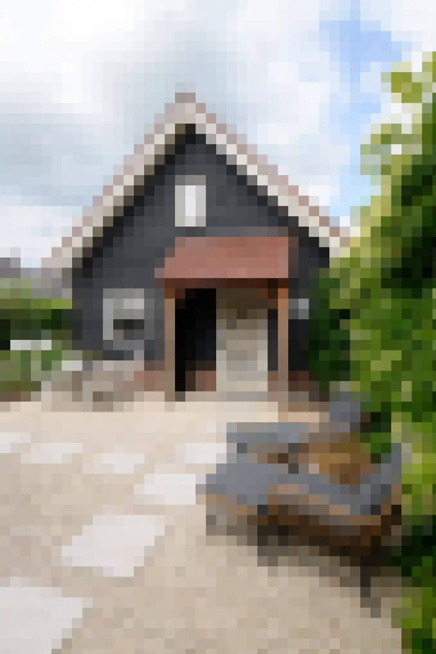 Gijbelandsedijk 66 Brandwijk thumbnail 35