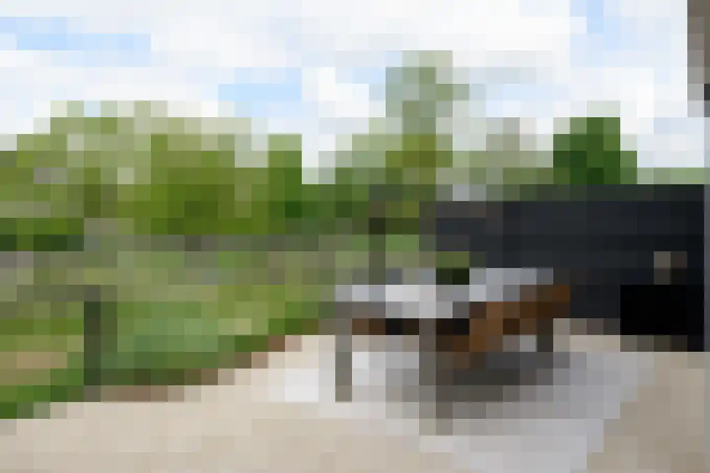 Gijbelandsedijk 66 Brandwijk thumbnail 5