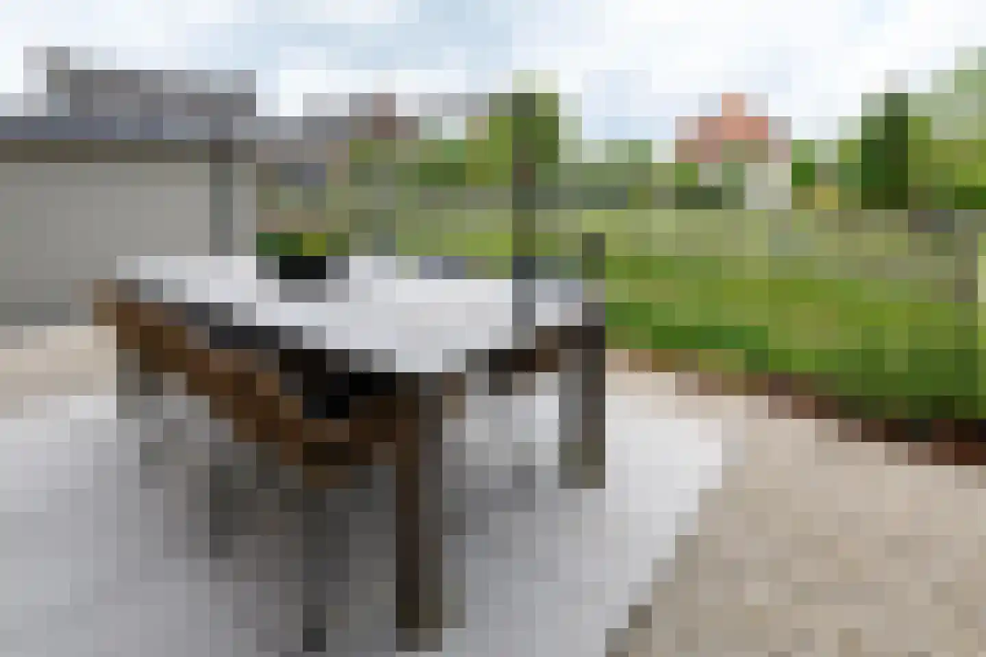Gijbelandsedijk 66 Brandwijk thumbnail 50