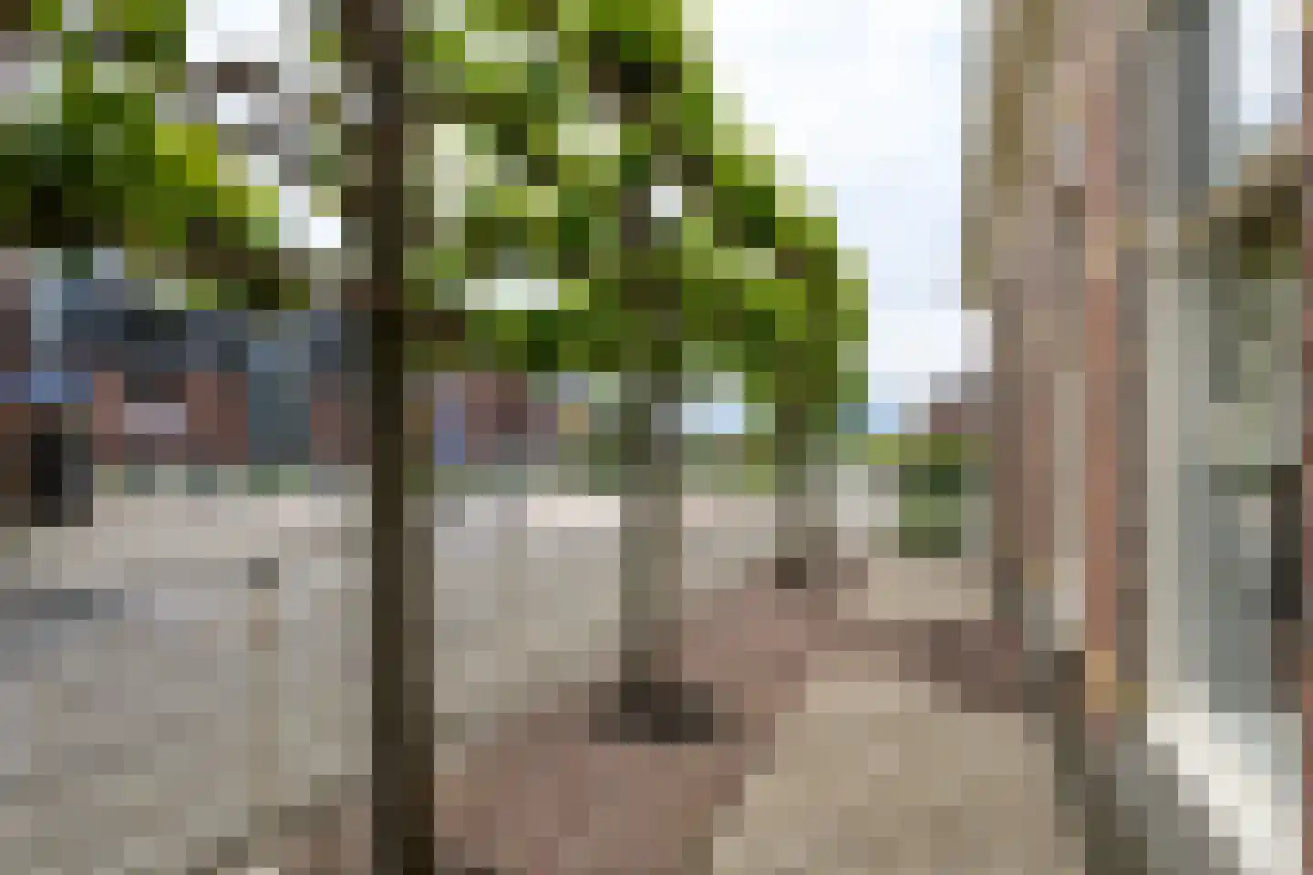 Gijbelandsedijk 66 Brandwijk thumbnail 9