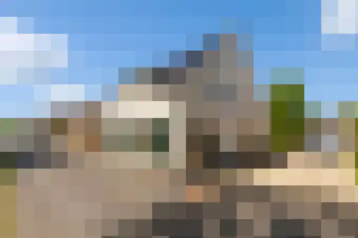 Gijbelandsedijk 68 Brandwijk thumbnail 4