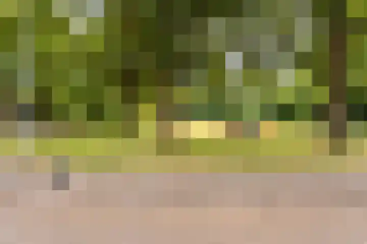 Gijenham 29 Oosterwolde thumbnail 28