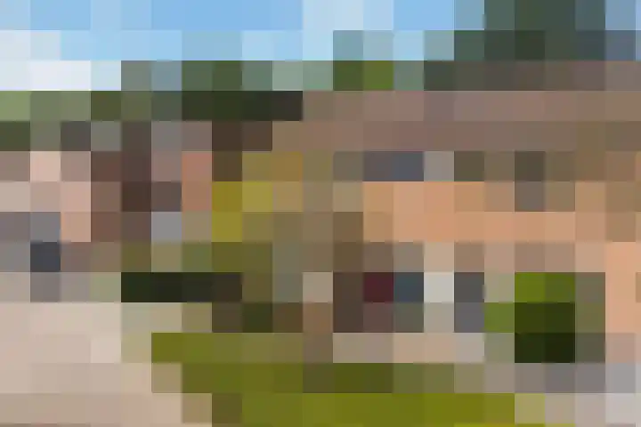 Gijenham 29 Oosterwolde thumbnail 6