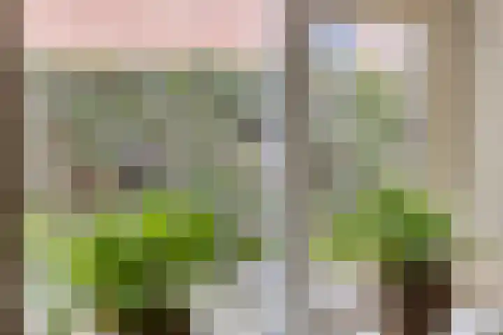 Gijenham 71 Oosterwolde thumbnail 24