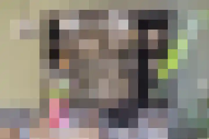 Gijenham 71 Oosterwolde thumbnail 25
