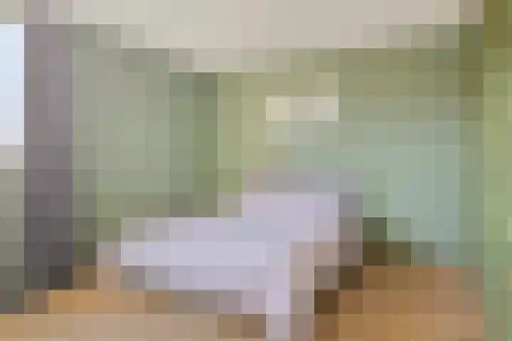 Gijenham 71 Oosterwolde thumbnail 36