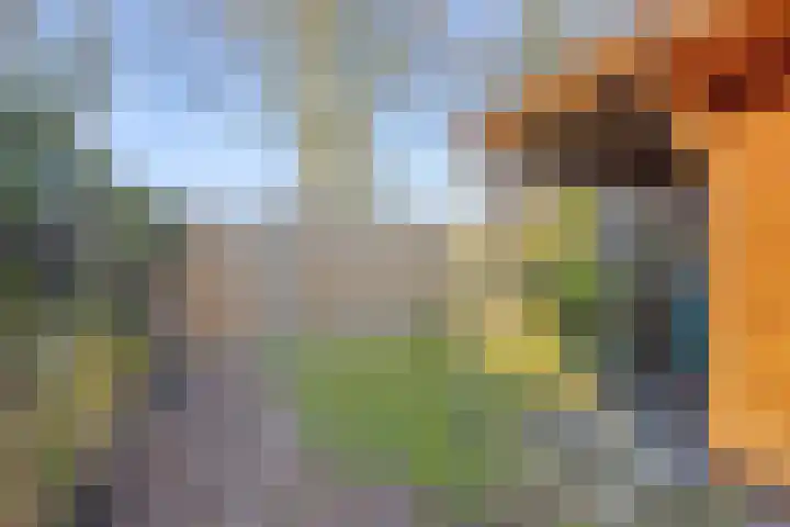 Gijenham 71 Oosterwolde thumbnail 43