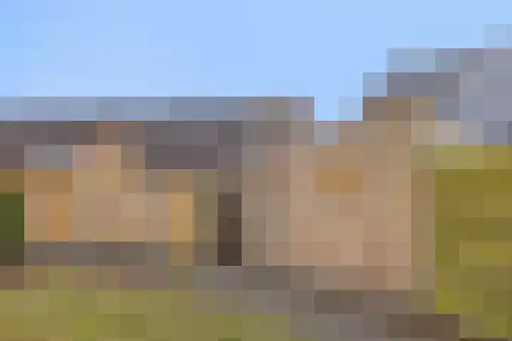 Gijenham 71 Oosterwolde thumbnail 48