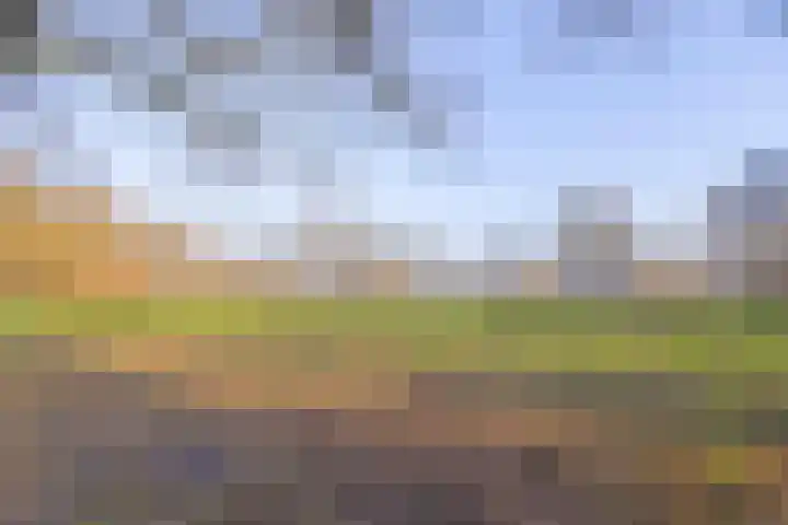 Gijenham 71 Oosterwolde thumbnail 50