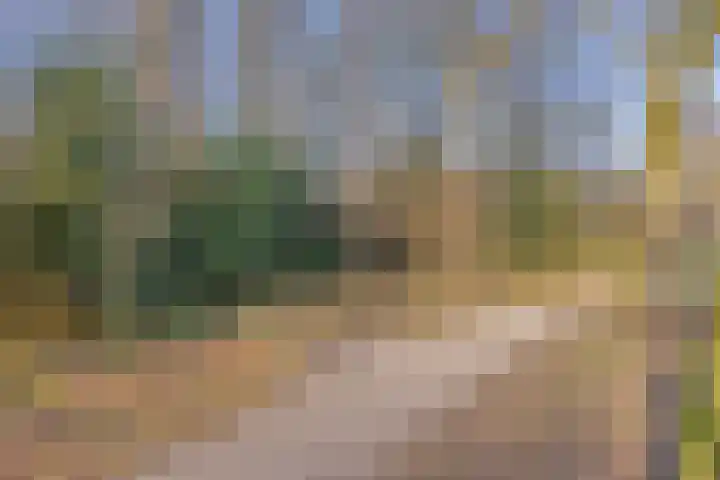 Gijenham 71 Oosterwolde thumbnail 51
