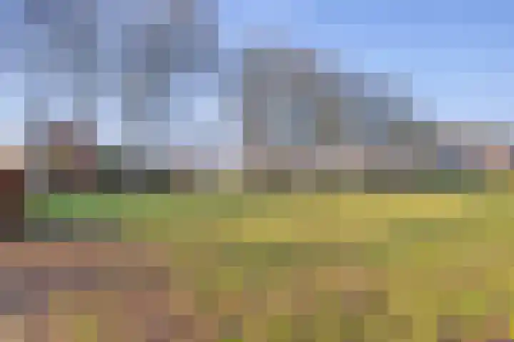 Gijenham 71 Oosterwolde thumbnail 52