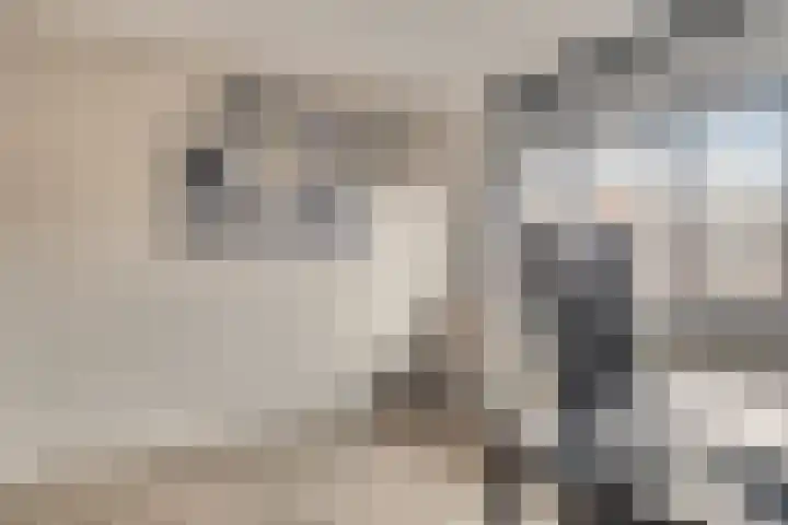 Gijs van Aardennestraat 18 Herten thumbnail 16