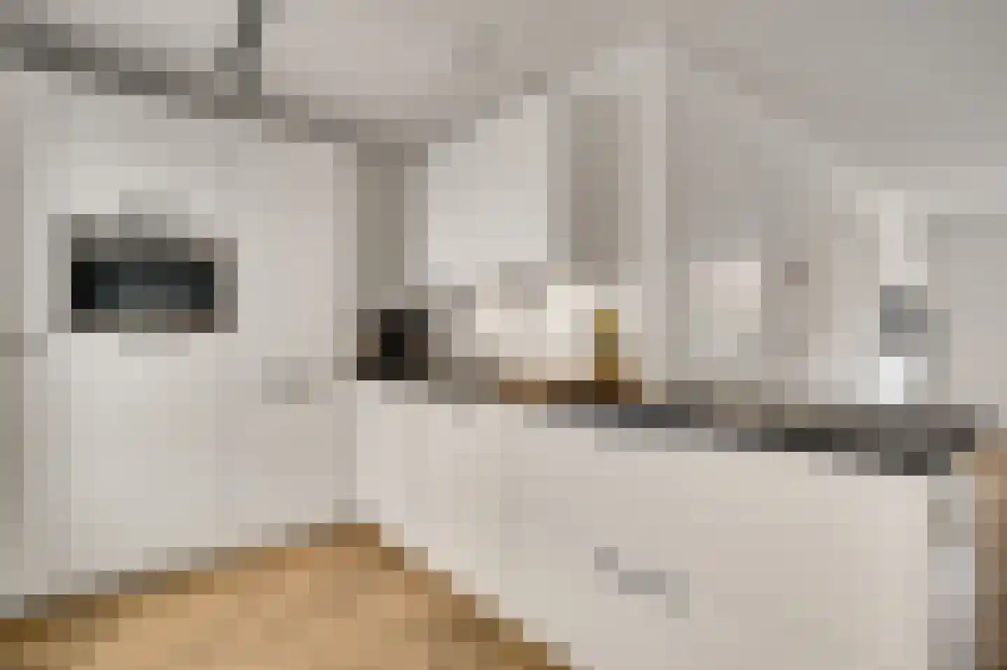 Gijs van Aardennestraat 44 Herten thumbnail 13