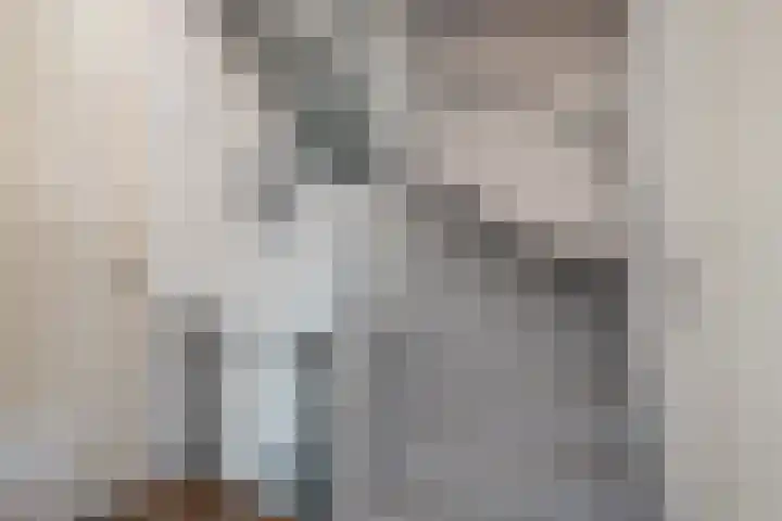 Gijs van Aardennestraat 68 Herten thumbnail 16