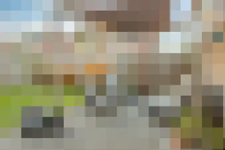 Gijs van Aardennestraat 68 Herten thumbnail 20