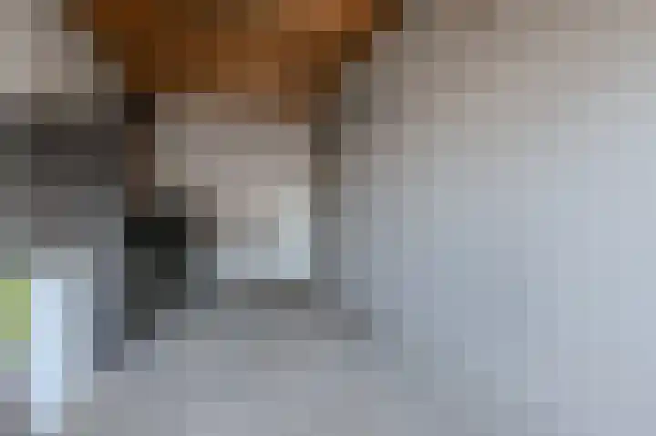 Gijs van Aardennestraat 68 Herten thumbnail 23