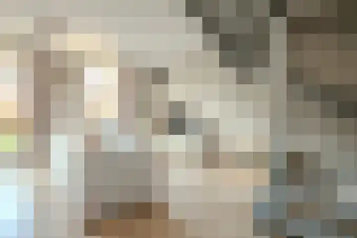 Gijs van Aardennestraat 68 Herten thumbnail 4