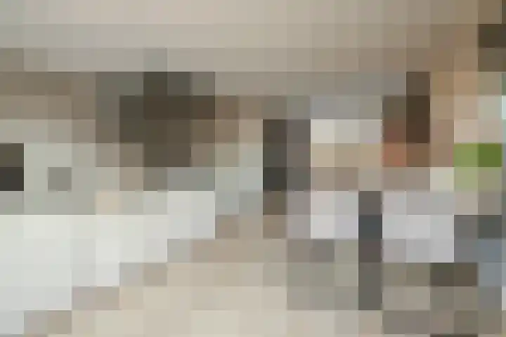 Gijs van Aardennestraat 68 Herten thumbnail 5