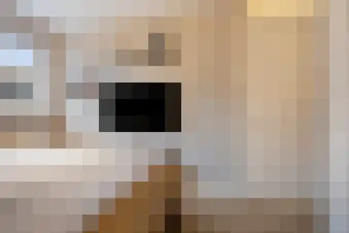 Gijs van Aardennestraat 69 Herten thumbnail 16