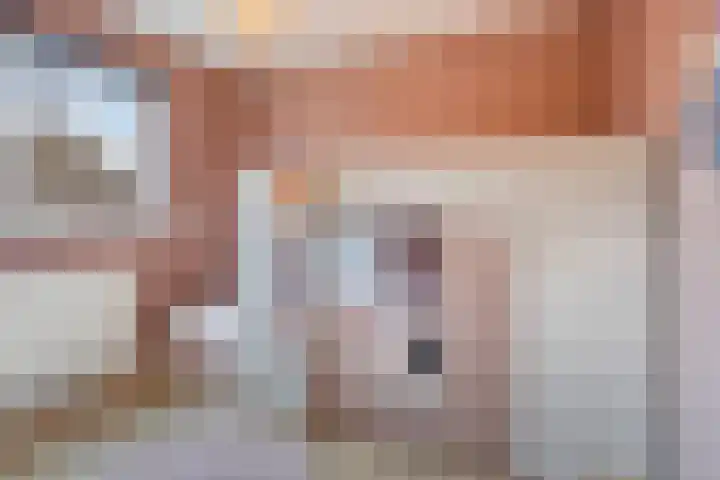 Gijs van Aardennestraat 69 Herten thumbnail 18