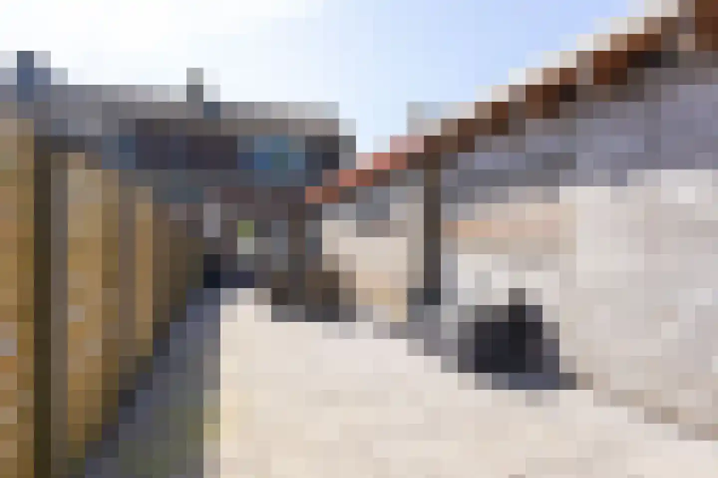 Gijs van Gaalenstraat 27 Kreileroord thumbnail 4