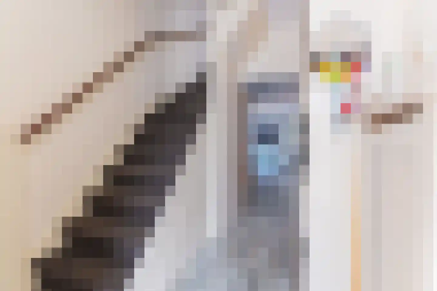 Gijs van Gaalenstraat 27 Kreileroord thumbnail 8