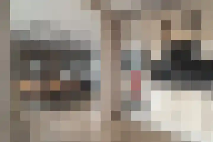 Gijs van Gaalenstraat 3 Kreileroord thumbnail 13