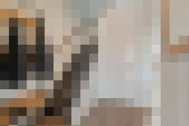 Gijs van Gaalenstraat 3 Kreileroord thumbnail 5