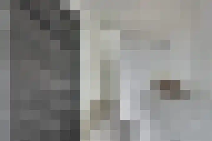 Gijs van Gaalenstraat 6 Kreileroord thumbnail 18