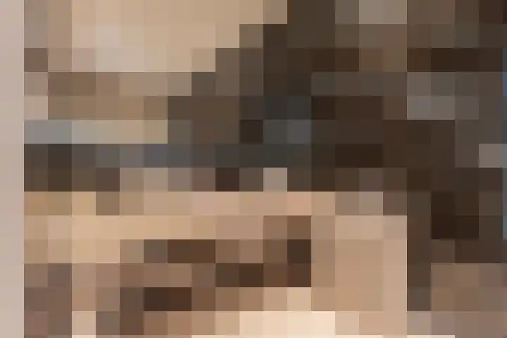 Gijs Veldtstraat 26 Culemborg thumbnail 33
