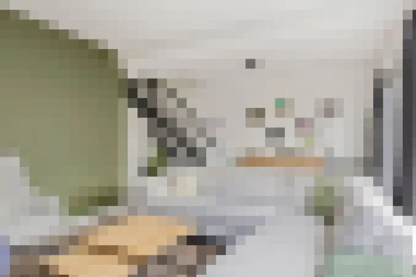 Gijsbert Japicxstraat 5 Hengelo thumbnail 22