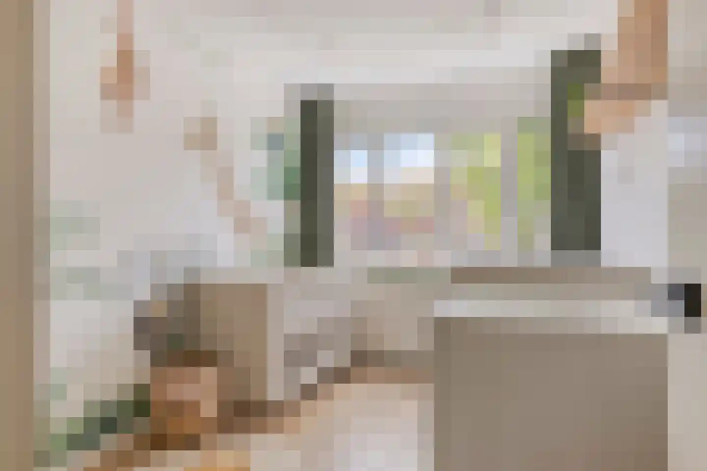 Gijsbert Japicxstraat 5 Hengelo thumbnail 30