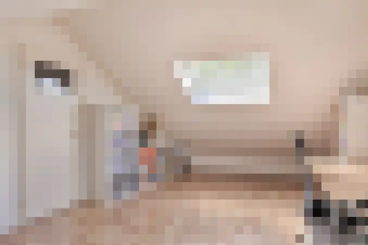 Gijsbert Japicxstraat 5 Hengelo thumbnail 35