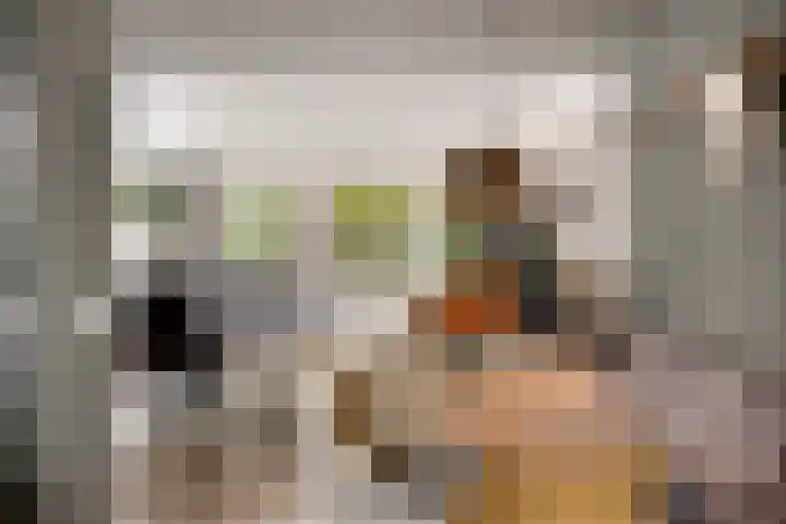 Gijsbert van Oostveenstraat 17 Zutphen thumbnail 10