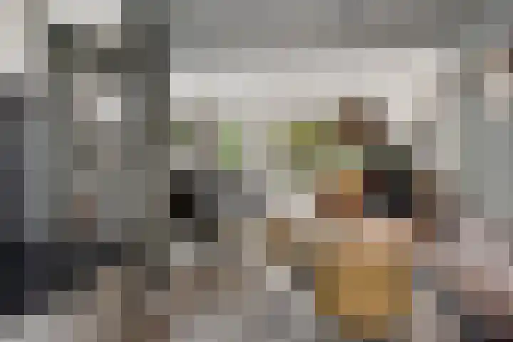 Gijsbert van Oostveenstraat 17 Zutphen thumbnail 11