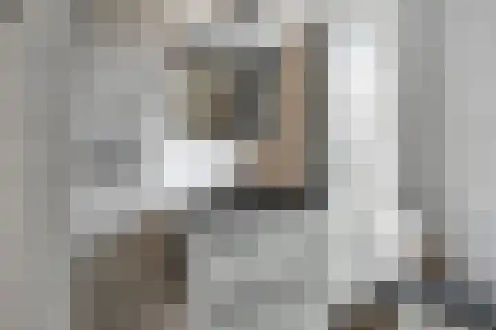 Gijsbert van Oostveenstraat 17 Zutphen thumbnail 24