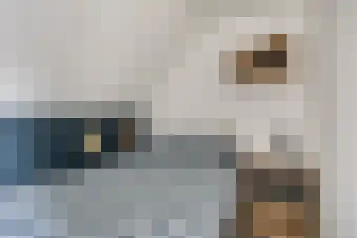 Gijsbert van Oostveenstraat 17 Zutphen thumbnail 33