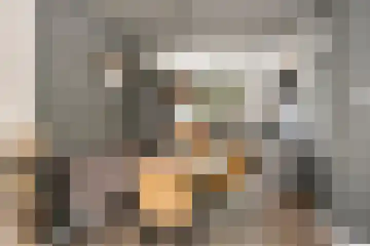 Gijsbert van Oostveenstraat 17 Zutphen thumbnail 9