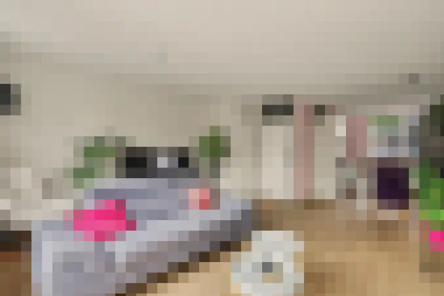 Gijsbert van Oostveenstraat 3 Zutphen thumbnail 10