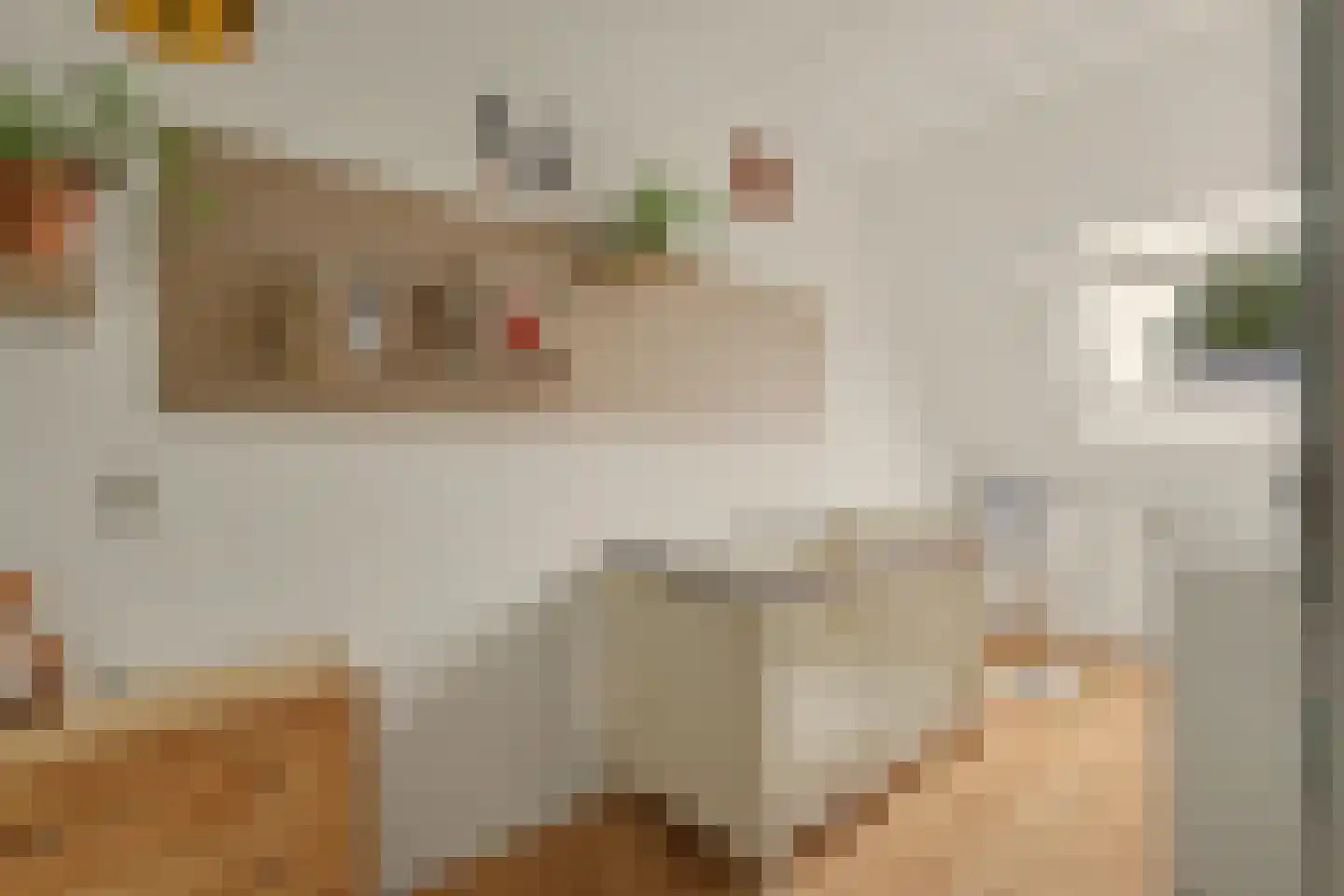 Gijsbert van Oostveenstraat 3 Zutphen thumbnail 17