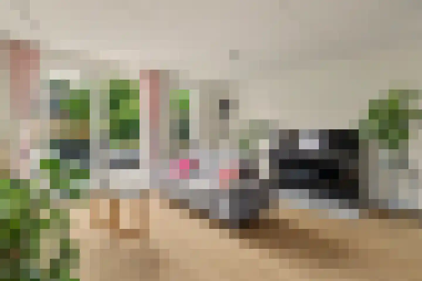Gijsbert van Oostveenstraat 3 Zutphen thumbnail 7