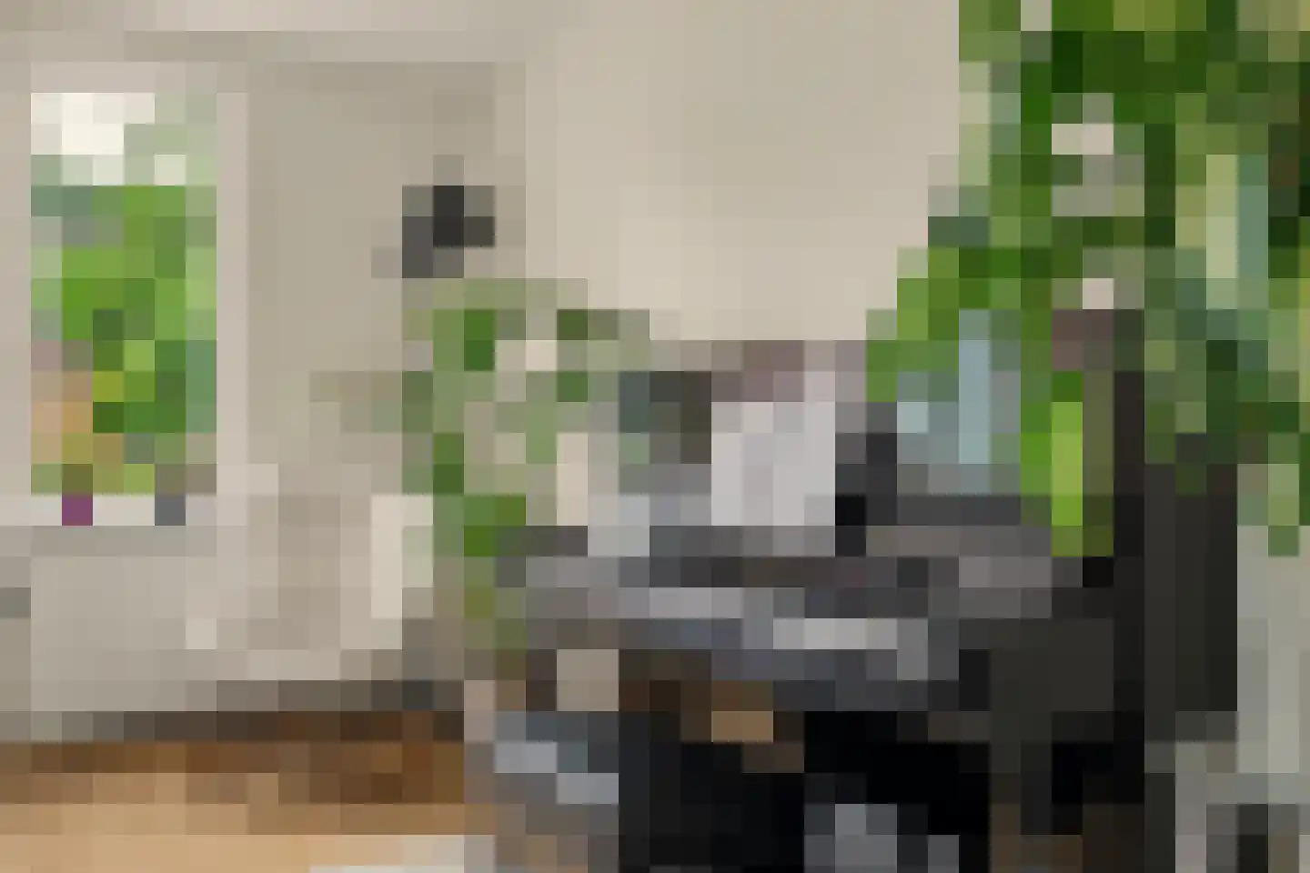 Gijsbert van Oostveenstraat 3 Zutphen thumbnail 8